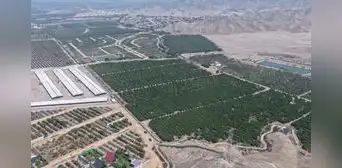 Eficaxx Grupo Inmobiliario alista inicio de proyecto en Huaral con inversión superior a US$7 millones