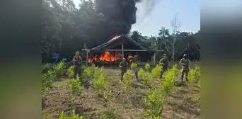 El narcotráfico y la minería ilegal han impactado en la Amazonía peruana