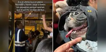 Joven aborda bus del Metropolitano con su perro e inspectora hace bajar a todos los pasajeros: "Era el último bus en plena Navidad" Joven aborda bus del Metropolitano con su perro e inspectora hace bajar a todos los pasajeros: "Era el último bus en plena Navidad"