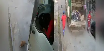 Perrito muere tras ser atropellado por camión de basura en SJL: municipalidad condenó el maltrato animal y separó a trabajadores Perrito muere tras ser atropellado por camión de basura en SJL: municipalidad condenó el maltrato animal y separó a trabajadores