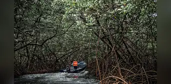 Panamá niega presencia constante del Clan del Golfo en la frontera, pero reporta "presión" de grupos colombianos Panamá niega presencia constante del Clan del Golfo en la frontera, pero reporta "presión" de grupos colombianos