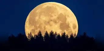 Guía de la Luna 2026: cuándo se verán las 13 Lunas llenas que brillarán en el cielo durante todo el año