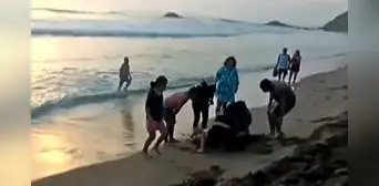 Rescatan a jóvenes a punto de ahogarse en playa de Barranca: "Se escuchaban gritos de socorro" Rescatan a jóvenes a punto de ahogarse en playa de Barranca: "Se escuchaban gritos de socorro"