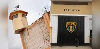 Interno condenado por violación sexual se fuga del penal de Huánuco: INPE confirma escape y PNP despliega operativo de búsqueda