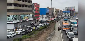 Tráfico en Lima EN VIVO: cómo está el tránsito en Javier Prado, Vía Evitamiento y Panamericana norte y sur Tráfico en Lima EN VIVO: cómo está el tránsito en Javier Prado, Vía Evitamiento y Panamericana norte y sur