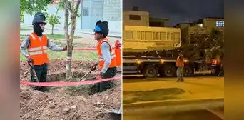 Vecinos del Callao protestan por el retiro de árboles para obras de la Vía Expresa Santa Rosa: “Los chalacos ya estamos cansados”