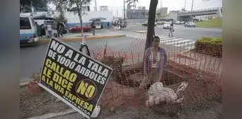 Vecinos del Callao protestan por el retiro de árboles para obras de la Vía Expresa Santa Rosa: “Los chalacos ya estamos cansados” Vecinos del Callao protestan por el retiro de árboles para obras de la Vía Expresa Santa Rosa: “Los chalacos ya estamos cansados”