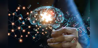Una sustancia natural restauraría las funciones de la memoria afectadas por el Alzheimer: fue identificada en el cuerpo humano Una sustancia natural restauraría las funciones de la memoria afectadas por el Alzheimer: fue identificada en el cuerpo humano