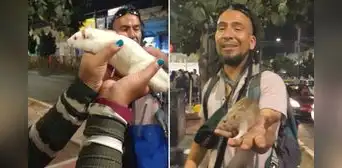 Peruano renunció a todo en su natal Chiclayo para recorrer el mundo con sus ratas amaestradas: "Dejé mi carrera de chef" Peruano renunció a todo en su natal Chiclayo para recorrer el mundo con sus ratas amaestradas: "Dejé mi carrera de chef"