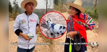 Cocinero ofrece S/500 a adulta mayor por su chanchito en Piura, pero se niega a venderlo: "Es mi niñita" Cocinero ofrece S/500 a adulta mayor por su chanchito en Piura, pero se niega a venderlo: "Es mi niñita"