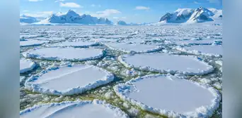 ¿Sabías que los terremotos bajo el hielo de la Antártida están creando "una vida" clave para capturar dióxido de carbono en la Tierra? ¿Sabías que los terremotos bajo el hielo de la Antártida están creando "una vida" clave para capturar dióxido de carbono en la Tierra?