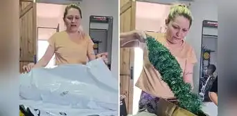 Mujer muestra el árbol navideño que compró en Temu durante noviembre y le llegó en enero: "Parece un perejil" Mujer muestra el árbol navideño que compró en Temu durante noviembre y le llegó en enero: "Parece un perejil"