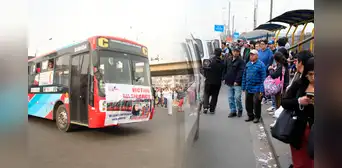 Nuevo paro de transportistas el 14 de enero: estas son las líneas de transporte que no saldrán a trabajar