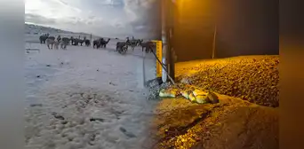 Huaicos y nevadas afectan diferentes zonas de la región Arequipa: cancelan vuelos por neblina Huaicos y nevadas afectan diferentes zonas de la región Arequipa: cancelan vuelos por neblina