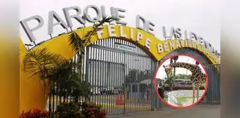 Parque de las Leyendas actualiza tarifas 2026: nuevo precio para ingresar a sus sedes San Miguel y Huachipa Parque de las Leyendas actualiza tarifas 2026: nuevo precio para ingresar a sus sedes San Miguel y Huachipa