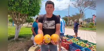 “Preferimos vender en el mercado local": agricultores denuncian precios injustos del mango en Lambayeque “Preferimos vender en el mercado local": agricultores denuncian precios injustos del mango en Lambayeque