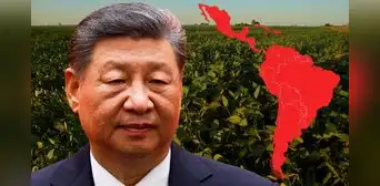 China supera a EE. UU. y realiza su primera compra histórica de 30.000 toneladas de harina de soja a un país de América Latina China supera a EE. UU. y realiza su primera compra histórica de 30.000 toneladas de harina de soja a un país de América Latina