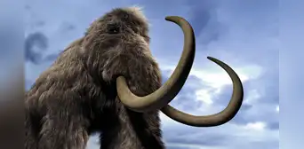 Científicos creyeron que eran huesos de mamut y los conservaron durante 70 años, pero resultaron ser de un animal completamente diferente Científicos creyeron que eran huesos de mamut y los conservaron durante 70 años, pero resultaron ser de un animal completamente diferente