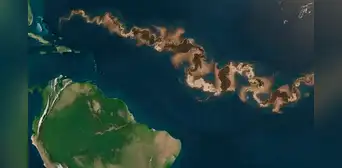 ¿Qué es la franja marrón que apareció entre América y África y por qué sería una amenaza en el océano Atlántico? ¿Qué es la franja marrón que apareció entre América y África y por qué sería una amenaza en el océano Atlántico?