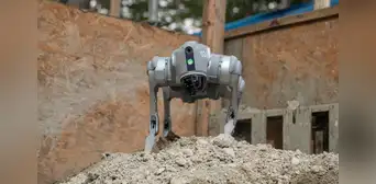Alqo, el perro robot que preserva y digitaliza patrimonio histórico de Lima: Parque de la Exposición y Arco del Puente entre ellos Alqo, el perro robot que preserva y digitaliza patrimonio histórico de Lima: Parque de la Exposición y Arco del Puente entre ellos