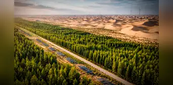 China extrae arena del desierto para crear un 'bosque' con paja y paneles solares que rieguen árboles: nueva muralla estaría lista en 2050 China extrae arena del desierto para crear un 'bosque' con paja y paneles solares que rieguen árboles: nueva muralla estaría lista en 2050