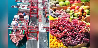 Perú conquista el mercado internacional tras exportar 540 productos agrícolas a Estados Unidos y Europa Perú conquista el mercado internacional tras exportar 540 productos agrícolas a Estados Unidos y Europa