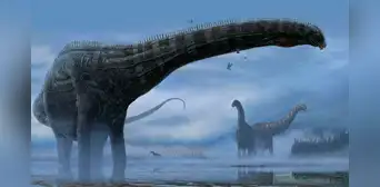 Científicos explican por qué una especie sudamericana de dinosaurio de cuello largo podía mantenerse erguida Científicos explican por qué una especie sudamericana de dinosaurio de cuello largo podía mantenerse erguida