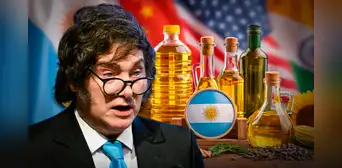 Argentina logra récord histórico y se convierte en principal proveedor de aceites vegetales de una potencia del mundo: no es China ni EE.UU. Argentina logra récord histórico y se convierte en principal proveedor de aceites vegetales de una potencia del mundo: no es China ni EE.UU.