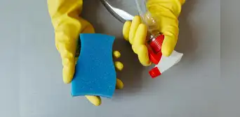 Este utensilio cotidiano de limpieza en la cocina libera millones de microplásticos en cada uso, según estudio Este utensilio cotidiano de limpieza en la cocina libera millones de microplásticos en cada uso, según estudio