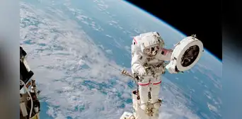 Científicos traen a la Tierra virus que evolucionaron en el espacio y ahora combaten mejor a las bacterias