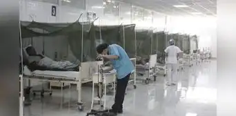 Minsa emite alerta por dengue: proyectan cerca de 35.000 casos hasta marzo en estas regiones Minsa emite alerta por dengue: proyectan cerca de 35.000 casos hasta marzo en estas regiones