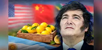 Argentina logra ser superado por este país en el ranking de exportaciones de limones a potencias del mundo, como EE.UU. y China Argentina logra ser superado por este país en el ranking de exportaciones de limones a potencias del mundo, como EE.UU. y China