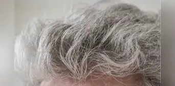 No es por la vejez: las canas son un método de defensa de nuestro cuerpo para evitar el cáncer, según estudio No es por la vejez: las canas son un método de defensa de nuestro cuerpo para evitar el cáncer, según estudio
