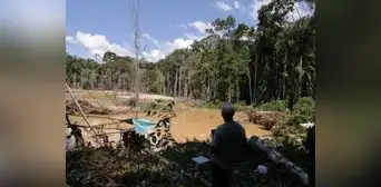Mineros ilegales depredan la Reserva Natural Tambopata