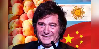 Argentina no frena su ambición con China y lo apunta como próximo destino para exportar este producto clave en Asia Argentina no frena su ambición con China y lo apunta como próximo destino para exportar este producto clave en Asia