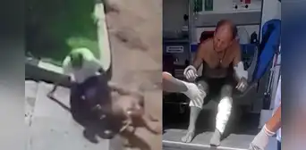 Hombre queda gravemente herido tras ser atacado por dos perros en Pachacámac cuando volvía a su casa Hombre queda gravemente herido tras ser atacado por dos perros en Pachacámac cuando volvía a su casa