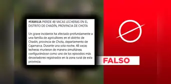 Noticia de mortandad de 48 vacas lecheras en Cajamarca es falsa: SENASA lo confirma Noticia de mortandad de 48 vacas lecheras en Cajamarca es falsa: SENASA lo confirma