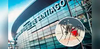 Chile refuerza alerta sanitaria tras confirmarse presencia de mosquito 'Aedes aegypti', transmisor del dengue, en aeropuerto de Santiago Chile refuerza alerta sanitaria tras confirmarse presencia de mosquito 'Aedes aegypti', transmisor del dengue, en aeropuerto de Santiago