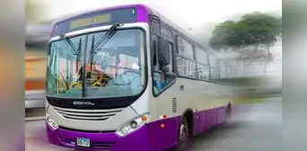 Corredor Morado te lleva desde San Juan de Lurigancho hasta San Isidro con solo S/2.80: esta es la ruta completa Corredor Morado te lleva desde San Juan de Lurigancho hasta San Isidro con solo S/2.80: esta es la ruta completa