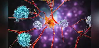 Científicos de Harvard confirman que el litio podría tener un papel crucial en la prevención y posible reversión del Alzheimer