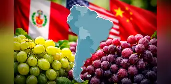 Este es el país de América Latina que supera a Perú y EE.UU. con la mayor producción de uvas en el mundo junto a China Este es el país de América Latina que supera a Perú y EE.UU. con la mayor producción de uvas en el mundo junto a China
