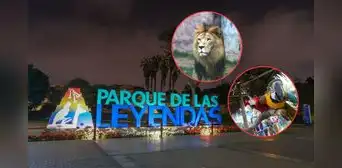 Parque de las Leyendas presenta “Aventura de Verano 2026” en febrero: programación y opciones para niños Parque de las Leyendas presenta “Aventura de Verano 2026” en febrero: programación y opciones para niños