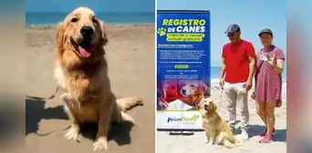 ¿DNI para mascotas? Municipalidad de Miraflores inicia nuevo registro municipal y presenta al primer perro inscrito ¿DNI para mascotas? Municipalidad de Miraflores inicia nuevo registro municipal y presenta al primer perro inscrito