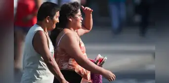 Altas temperaturas en la selva peruana: sensación de calor llegaría hasta los 39ºC en los próximos días, advierte Senamhi