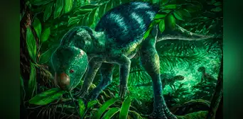 Científicos descubren una nueva especie de dinosaurio de hace 125 millones de años en España: sería tan pequeño como un perro Científicos descubren una nueva especie de dinosaurio de hace 125 millones de años en España: sería tan pequeño como un perro