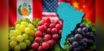 Este es el país de América Latina que supera a Perú y EE.UU. con la mayor producción de uvas en el mundo junto a China Este es el país de América Latina que supera a Perú y EE.UU. con la mayor producción de uvas en el mundo junto a China