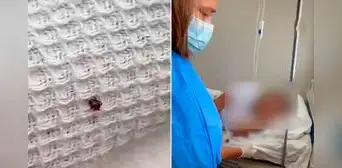 Mujer encuentra una garrapata en la cama del hospital de EsSalud de Nuevo Chimbote donde su madre estaba en observación Mujer encuentra una garrapata en la cama del hospital de EsSalud de Nuevo Chimbote donde su madre estaba en observación