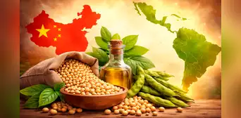 País de América Latina sufre fuertes sequías y pone en riesgo futuras ventas de un cultivo muy deseado por China País de América Latina sufre fuertes sequías y pone en riesgo futuras ventas de un cultivo muy deseado por China