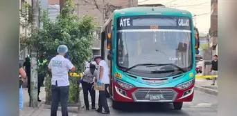Asesinan a balazos a chofer de la empresa Transporte Pesquero en plena ruta en Santa Anita