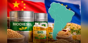 Europa toma una dura decisión que amenaza las exportaciones de soja de este país de América Latina, el histórico vendedor de China Europa toma una dura decisión que amenaza las exportaciones de soja de este país de América Latina, el histórico vendedor de China